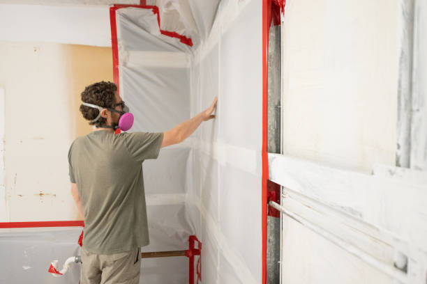 Best Residential Mold Inspection & Testing  in El Dorado Springs, MO